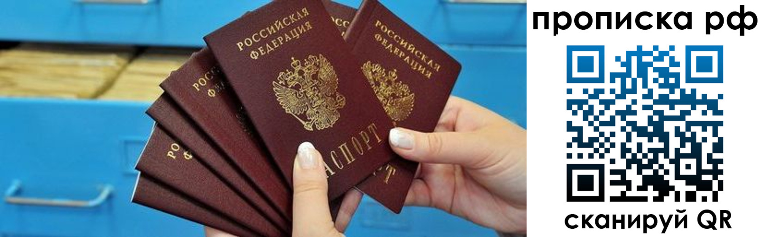 прописка поиск в Опочке